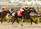Lady of Fifty Redeemed With Hirsch Surprise Lady of Fifty Redeemed With Hirsch Surprise