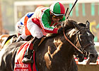 Clement Hirsch Winner Lady of Fifty Retired Clement Hirsch Winner Lady of Fifty Retired