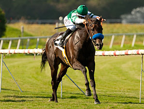 Lady of Shamrock Skims Rail in American Oaks Lady of Shamrock Skims Rail in American Oaks