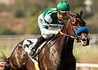 Winner's Circle: Lady Luck Winner's Circle: Lady Luck