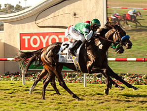 Del Mar Oaks: Lady of Shamrock Mows 'Em Down Del Mar Oaks: Lady of Shamrock Mows 'Em Down