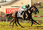 Del Mar Oaks: Lady of Shamrock Mows 'Em Down Del Mar Oaks: Lady of Shamrock Mows 'Em Down