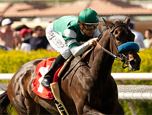 Lady of Shamrock Stands Out in Honeymoon Lady of Shamrock Stands Out in Honeymoon
