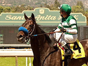Lady of Shamrock Gets Lucky in Santa Barbara Lady of Shamrock Gets Lucky in Santa Barbara