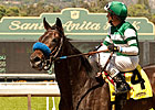Lady of Shamrock Gets Lucky in Santa Barbara Lady of Shamrock Gets Lucky in Santa Barbara