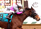 Lady Sabelia Unchallenged in Fritchie Win Lady Sabelia Unchallenged in Fritchie Win