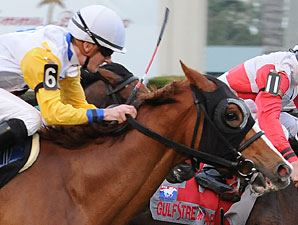 Full Field Lines Up For Suwannee River Stakes