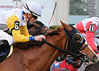 Full Field Lines Up For Suwannee River Stakes