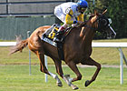 Lady Shakespeare Writes Perfect NY Finish