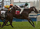 Lafontaine Upsets Toronto Cup in Stakes Bow Lafontaine Upsets Toronto Cup in Stakes Bow