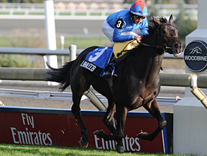 Lahaleeb Bring Seven Figures at Tattersalls Lahaleeb Bring Seven Figures at Tattersalls