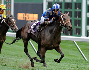 Lahudood Named Female Turf Champion Lahudood Named Female Turf Champion
