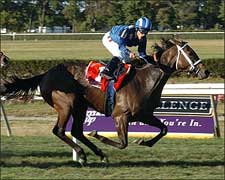 Lahudood Gallops off With Bouquet in Flower Bowl Lahudood Gallops off With Bouquet in Flower Bowl