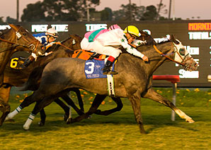 Lang Field Stuns Citation Rivals Lang Field Stuns Citation Rivals