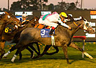 Lang Field Stuns Citation Rivals Lang Field Stuns Citation Rivals