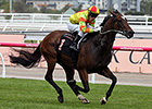 Lankan Rupee Tastes Victory in Black Caviar Lankan Rupee Tastes Victory in Black Caviar