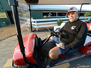 Equine Chiropractor Asset to O'Neill Team Equine Chiropractor Asset to O'Neill Team