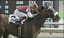 Last Answer Uses Theft Tactics in Nijinsky Stakes Last Answer Uses Theft Tactics in Nijinsky Stakes