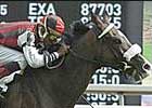 Last Answer Uses Theft Tactics in Nijinsky Stakes