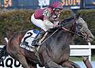Featured Horse Profile: Last Gunfighter Featured Horse Profile: Last Gunfighter
