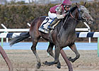 Last Gunfighter Draws Clear in Excelsior