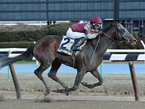 Last Gunfighter Invades for Pimlico Special Last Gunfighter Invades for Pimlico Special