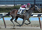 Last Gunfighter Invades for Pimlico Special