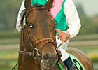 First Winner by Grade I Winner Latent Heat First Winner by Grade I Winner Latent Heat