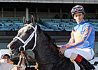 Ashado's Half-Brother Wins Debut at Aqueduct Ashado's Half-Brother Wins Debut at Aqueduct