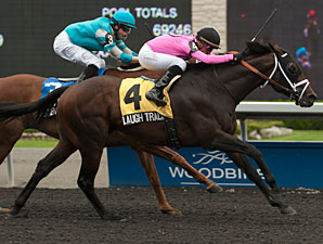Laugh Track Earns Plaudits in Vigil Triumph Laugh Track Earns Plaudits in Vigil Triumph