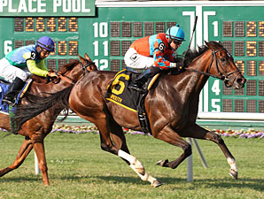 Laughing Outlasts Dayatthespa in Eatontown Laughing Outlasts Dayatthespa in Eatontown