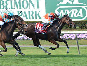 Top Turf Mare Laughing Dies From Colic Top Turf Mare Laughing Dies From Colic