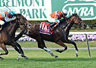 Top Turf Mare Laughing Dies From Colic Top Turf Mare Laughing Dies From Colic