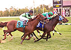 Laurel Race Finishes With Two Dead Heats Laurel Race Finishes With Two Dead Heats
