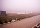Aqueduct, Laurel Cancel Saturday Cards Aqueduct, Laurel Cancel Saturday Cards
