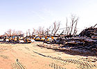 MJC Begins Work on New Stalls at Laurel Park MJC Begins Work on New Stalls at Laurel Park