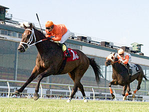 MJC: Laurel Park Well-Positioned for Slots MJC: Laurel Park Well-Positioned for Slots