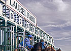 11-Day Summer Meet at Laurel Park Approved 11-Day Summer Meet at Laurel Park Approved