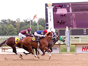 MJC Introduces 'Virtual Finish Line' MJC Introduces 'Virtual Finish Line'
