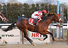 Laus Deo Shows Way in Count Fleet Laus Deo Shows Way in Count Fleet