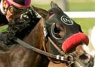 Move Over 'Diver, Make Room for Lava Man