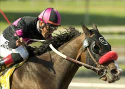 Lava Man to Prep at Keeneland for Breeders' Cup Lava Man to Prep at Keeneland for Breeders' Cup