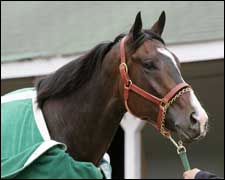 Lava Man Tackles 8 in Historic Gold Cup Lava Man Tackles 8 in Historic Gold Cup