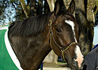 Lava Man Retired After Stellar Career Lava Man Retired After Stellar Career
