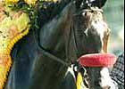 Steve Haskin Commentary: Lava Man a Treasure to be Shared