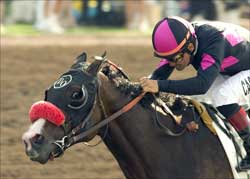 Streaking Lava Man Tackles Six in Goodwood Streaking Lava Man Tackles Six in Goodwood
