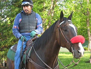 Lava Man to Lead Gold Cup Post Parade Lava Man to Lead Gold Cup Post Parade