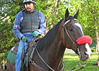 Lava Man to Lead Gold Cup Post Parade Lava Man to Lead Gold Cup Post Parade