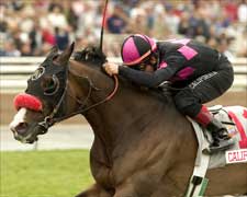 Lava Man to Return Home, Probably to Stay Lava Man to Return Home, Probably to Stay
