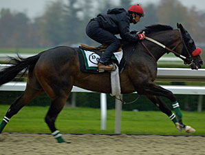 Quiet Mood at Lava Man's Former Stable Quiet Mood at Lava Man's Former Stable
